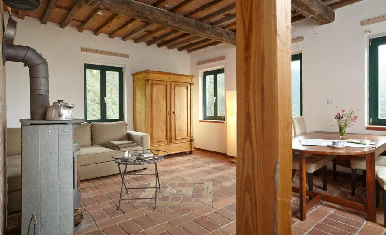 Casa Berti - Urlaub Im Olivenhain Camaiore Esterno foto