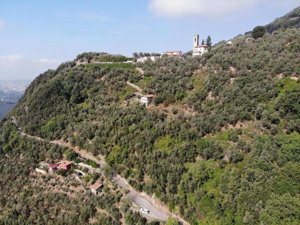 Casa Berti - Urlaub Im Olivenhain Camaiore Esterno foto