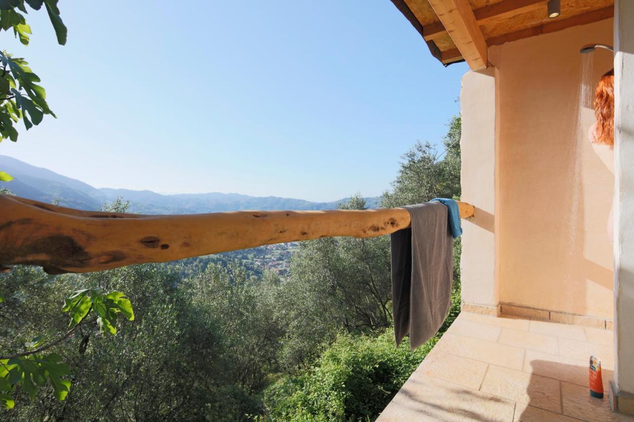 Casa Berti - Urlaub Im Olivenhain Camaiore Esterno foto