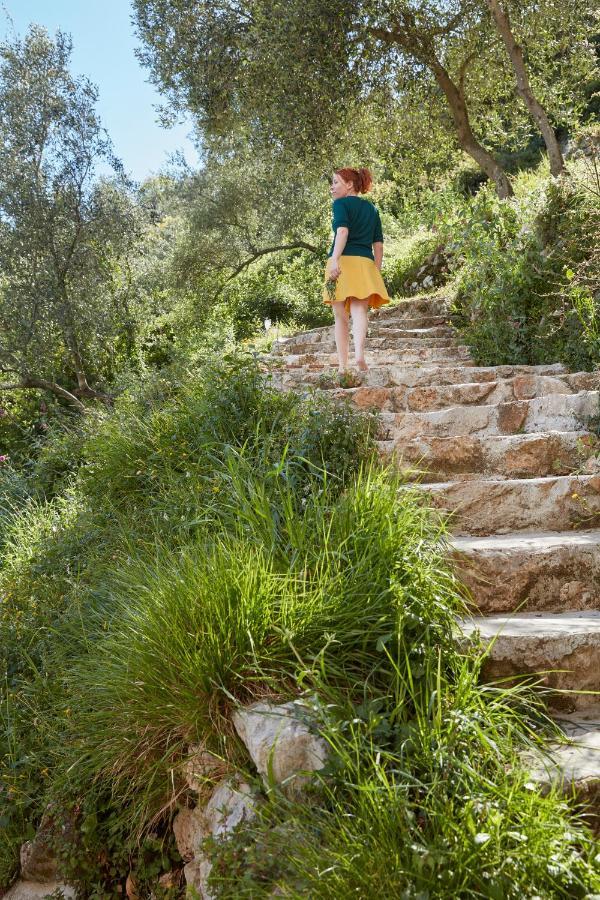 Casa Berti - Urlaub Im Olivenhain Camaiore Esterno foto