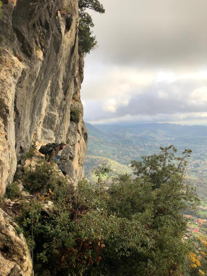 Casa Berti - Urlaub Im Olivenhain Camaiore Esterno foto