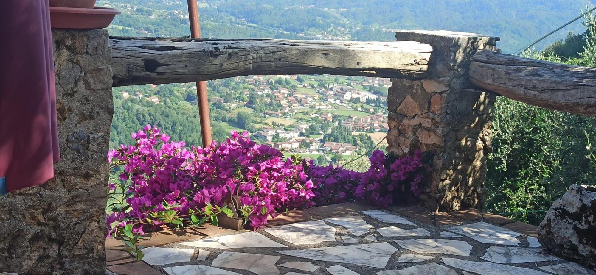 Casa Berti - Urlaub Im Olivenhain Camaiore Esterno foto