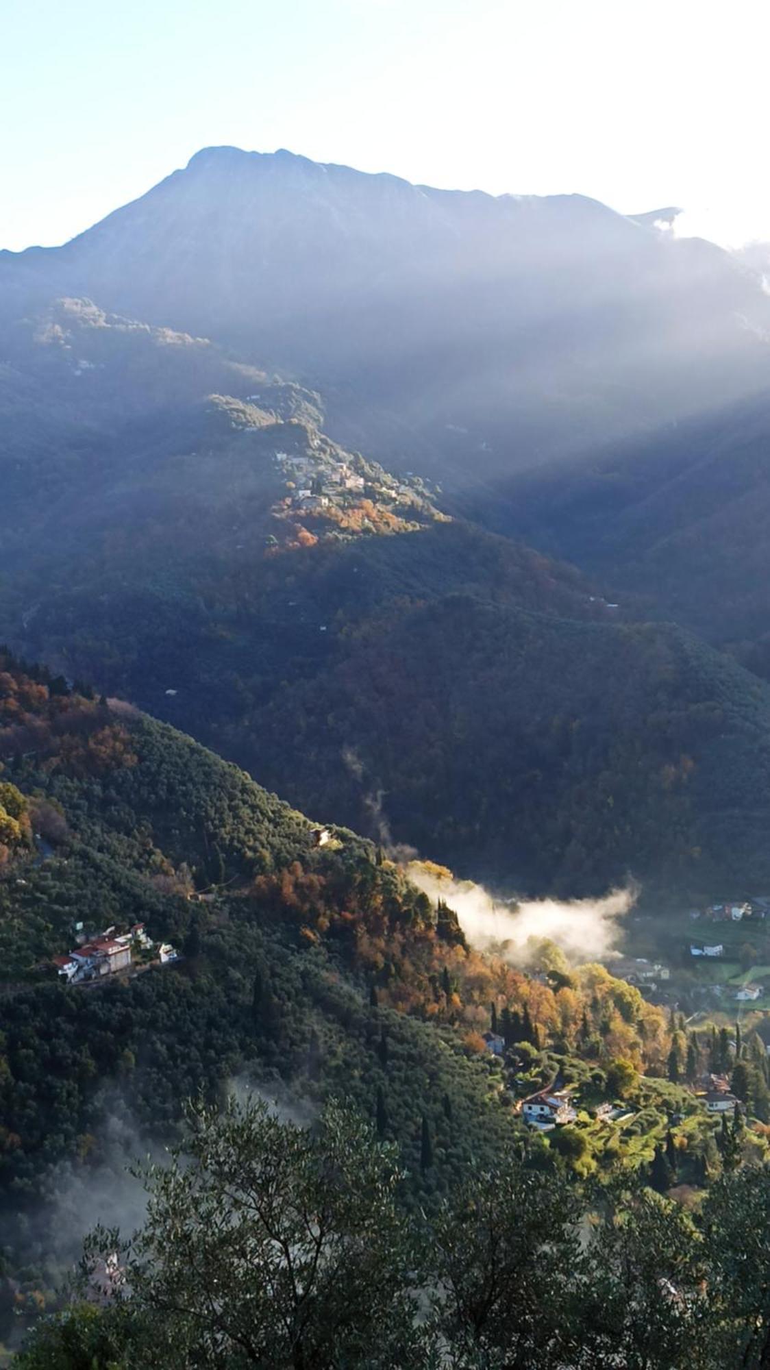 Casa Berti - Urlaub Im Olivenhain Camaiore Esterno foto