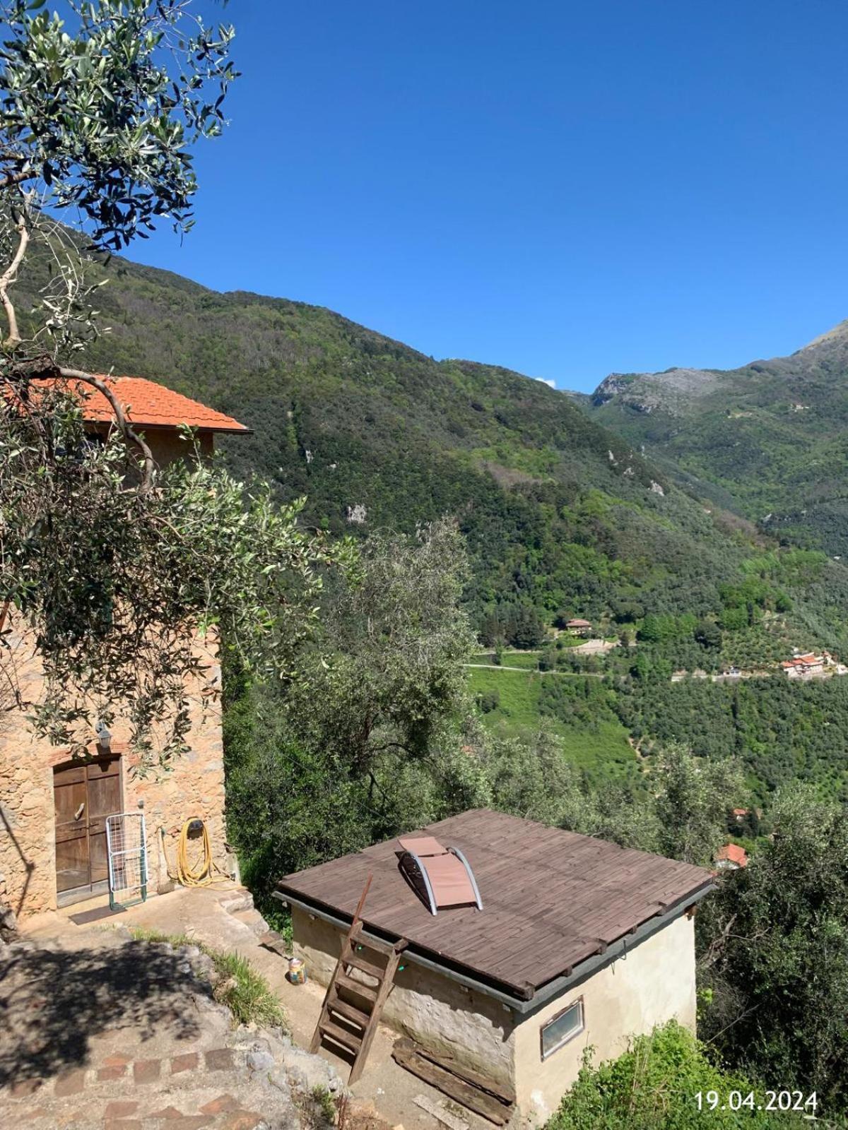 Casa Berti - Urlaub Im Olivenhain Camaiore Esterno foto